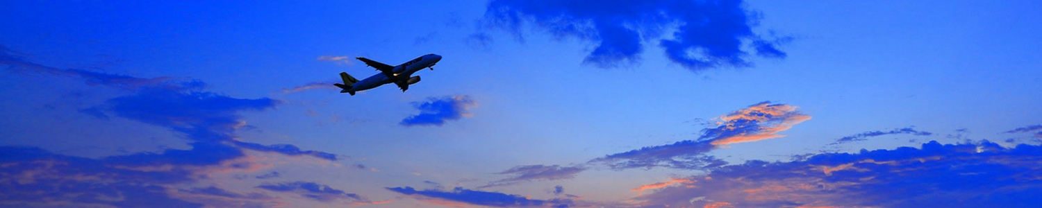 Plane in the sky
